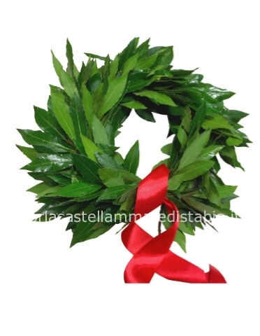 + box per aggiungere la coroncina in scatola