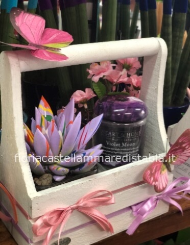 Pianta grassa + Profumatore