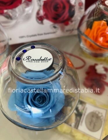 Rosabella Milano celeste