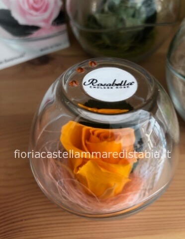 Rosa stabilizzata arancione piccola