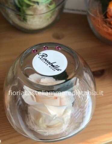 Rosabella Milano bianca piccola