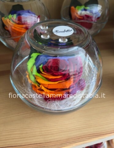 Rosa Stabilizzata Multicolor grande