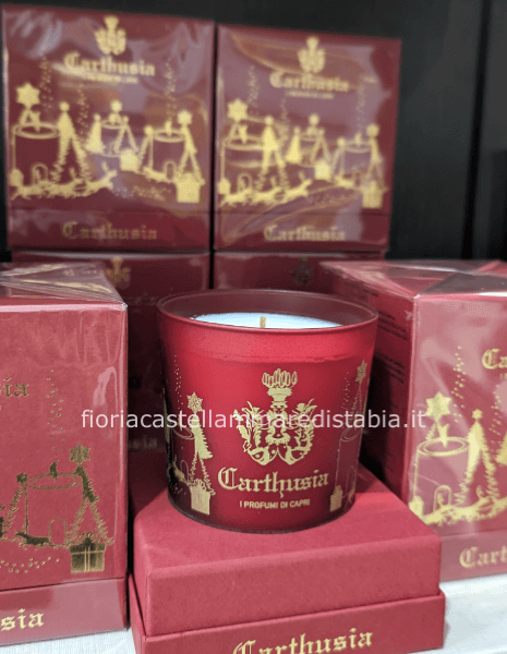 Carthusia candela natale