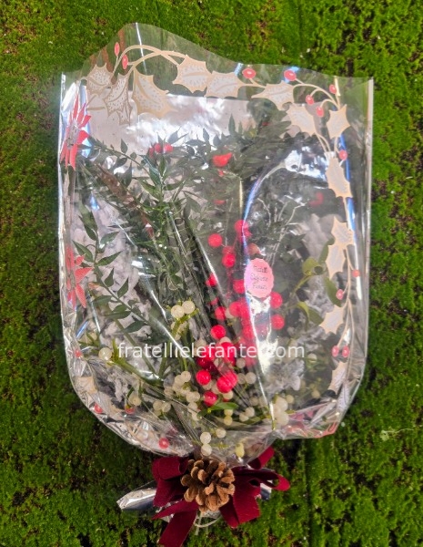 Vischio per capodanno 